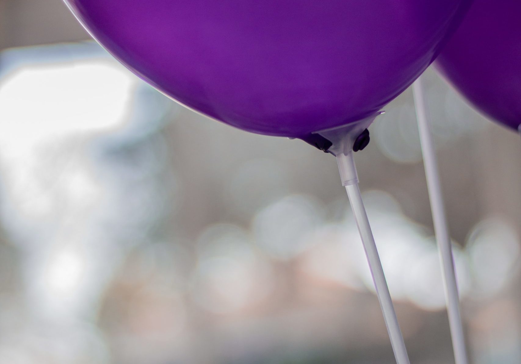 Purple balloons photo by Ezequiel Garrido on Unsplash