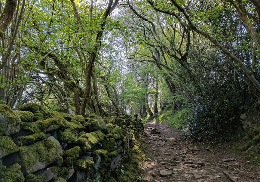 Stone wall along path photo by Louise Hill